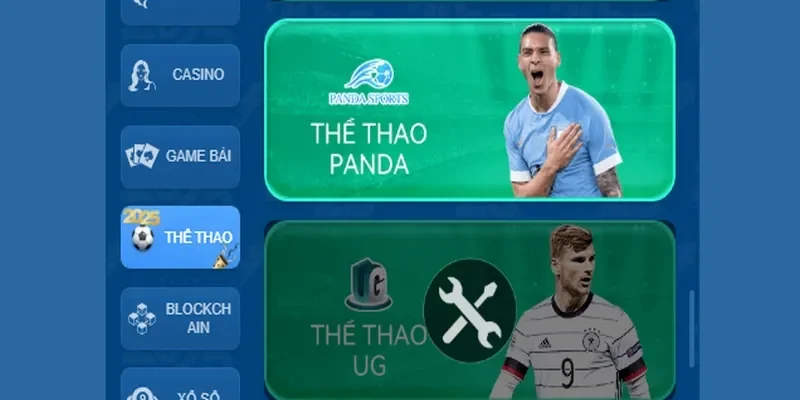 Trận đấu bóng đá Vietnam